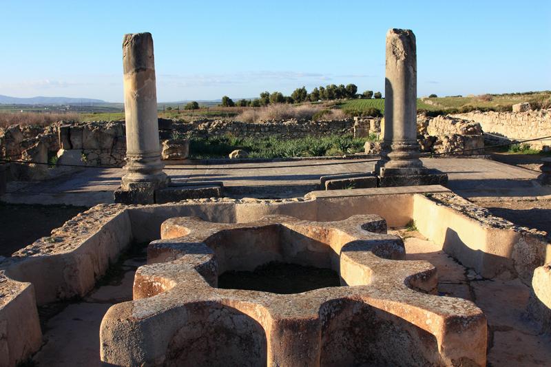 145-Volubilis,29 dicembre 2013.JPG